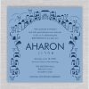 Modern and casually elegant, this Jerusalem Bar Mitzvah Invitation features a stunning depiction of the Western Wall (The Kotel), also known as the Wailing Wall, beautifully framed by a sophisticated border. The iconic Jerusalem landmark is highlighted in a refined palette of blues, evoking the serene beauty and spiritual significance of the city. The subtle gradient of blues brings a sense of depth and tranquility, perfectly complementing the sacredness of the occasion.