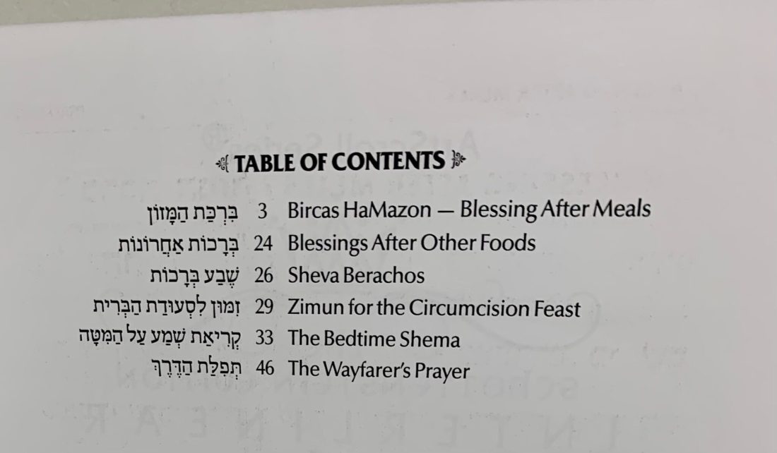 Ahava Love – Interlinear Birkat Hamazon - Image 8