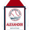 Baseball Star Bar Mitzvah Invitation red and blue
