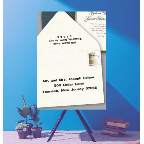 Envelope guest addressing digital calligraphy for weddings and special events