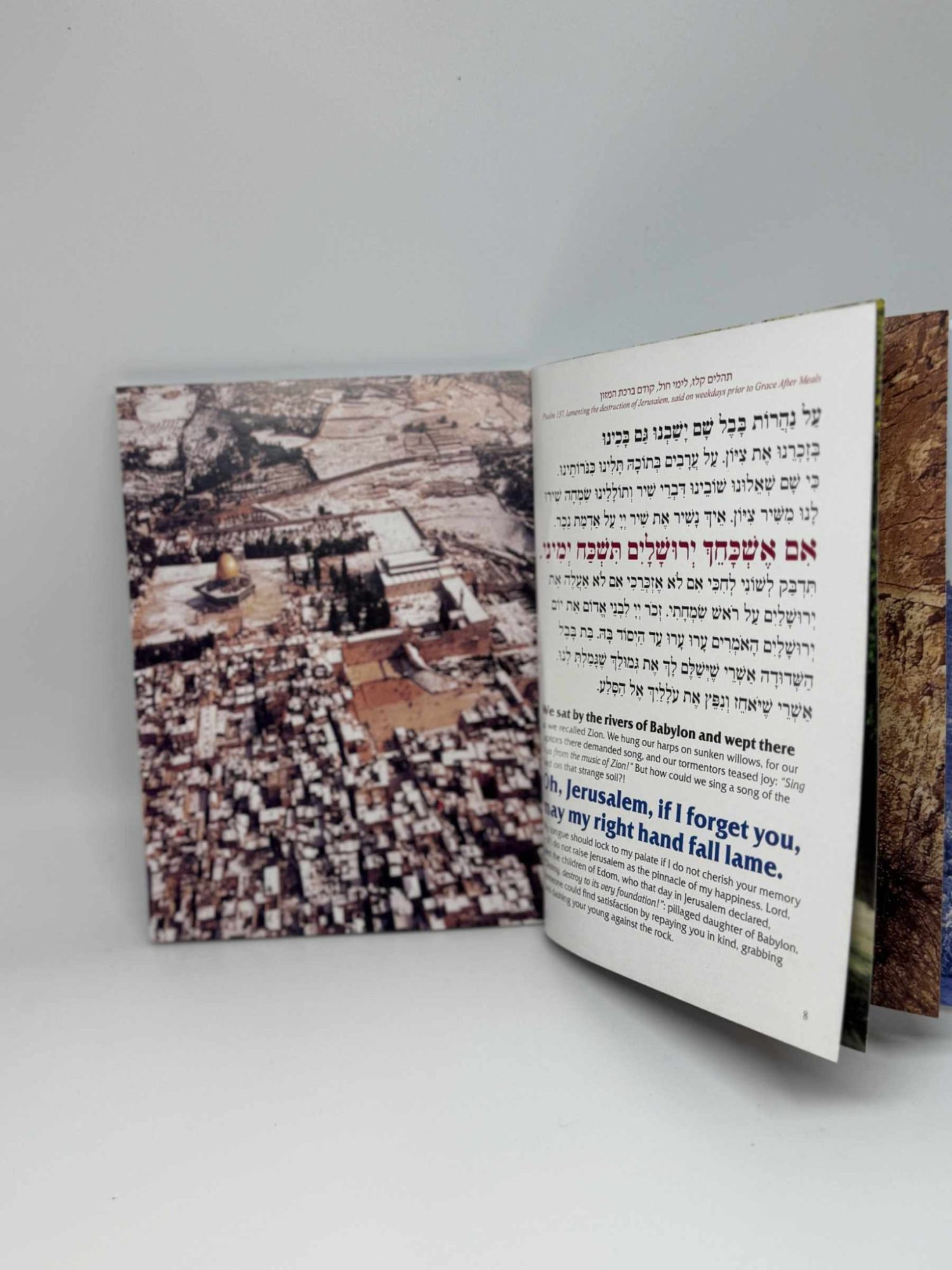 Hebrew-English Bencher with Stunning Visuals on Every Page This beautifully crafted bencher seamlessly blends tradition with artistry, featuring vibrant, full-page photographs that capture the essence of Jewish culture and the spirit of Israel. The carefully chosen images include scenes like children in Purim costumes, the lighting of the menorah during Hanukkah, and iconic Jerusalem views accompanying the Birkat HaMazon.