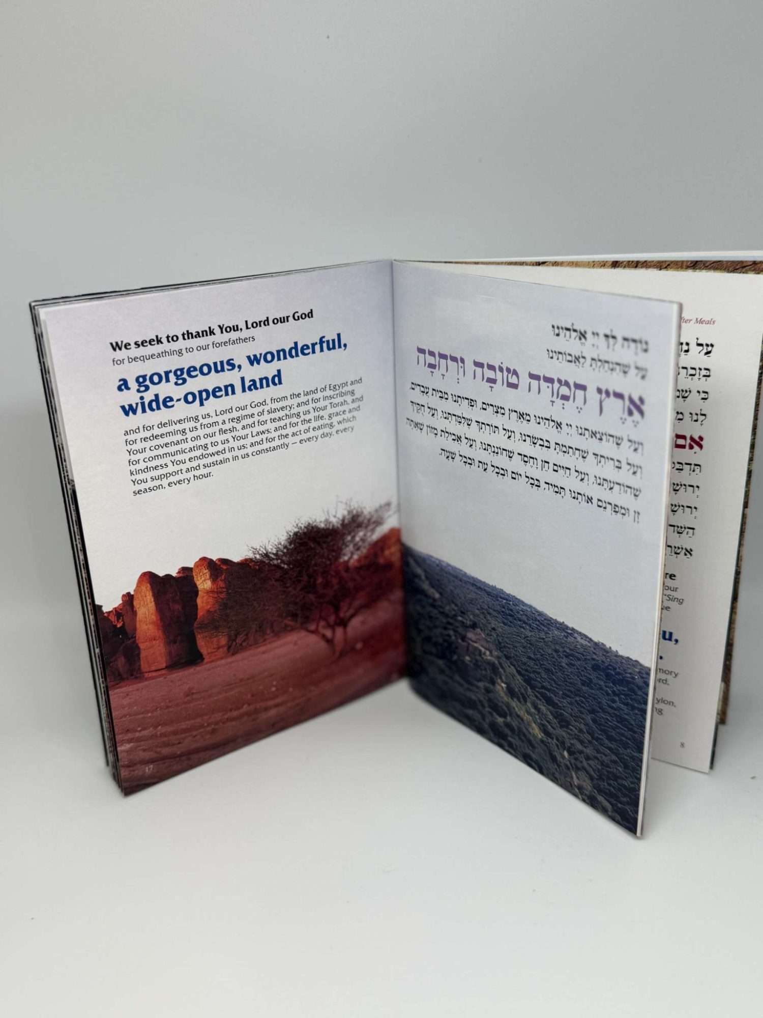 Hebrew-English Bencher with Stunning Visuals on Every Page This beautifully crafted bencher seamlessly blends tradition with artistry, featuring vibrant, full-page photographs that capture the essence of Jewish culture and the spirit of Israel. The carefully chosen images include scenes like children in Purim costumes, the lighting of the menorah during Hanukkah, and iconic Jerusalem views accompanying the Birkat HaMazon.